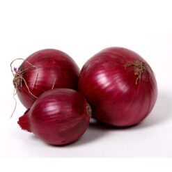 Onion, Bunching Onion & Leek