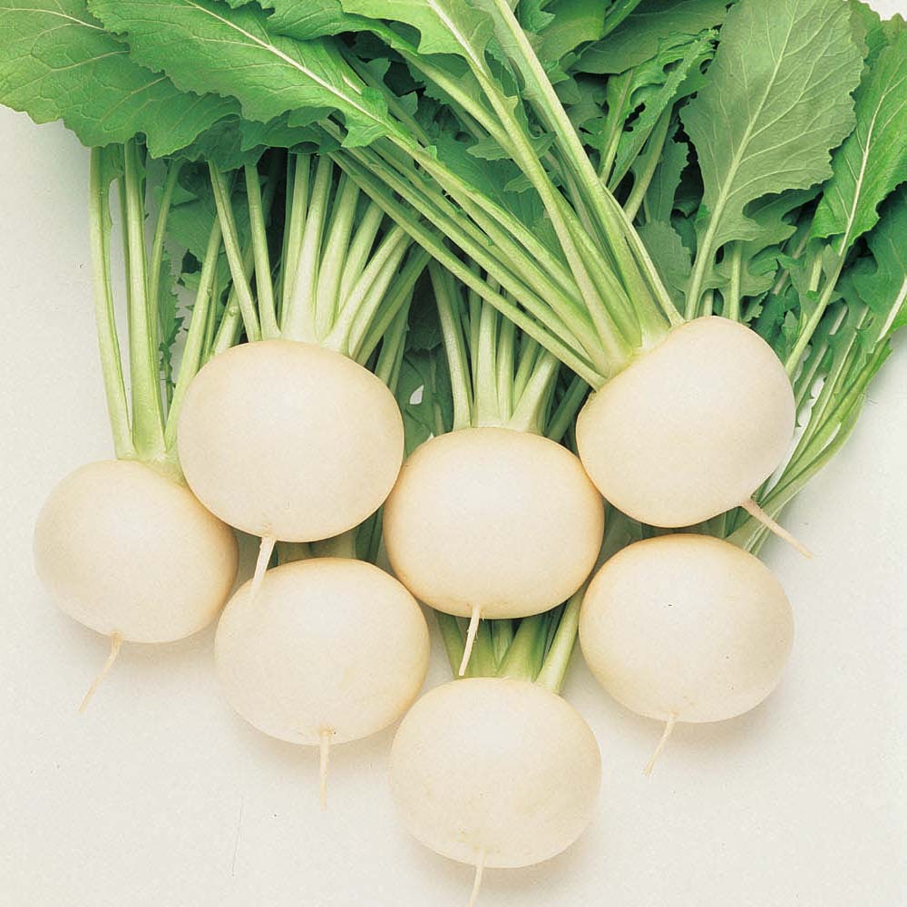 Asian and tropical vegetable seeds