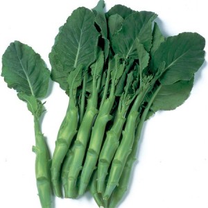 Asian and tropical vegetable seeds