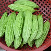 Asian and tropical vegetable seeds