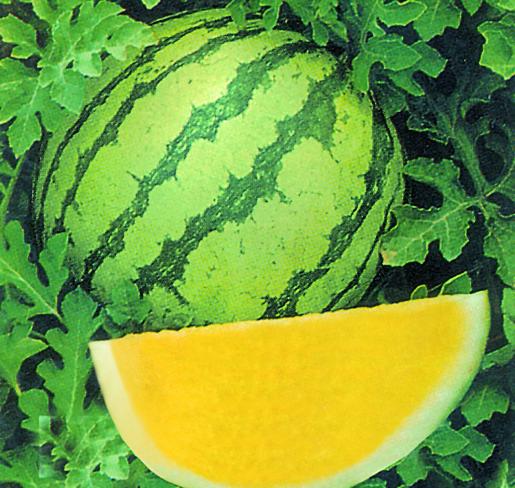 Asian and tropical vegetable seeds