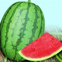 Asian and tropical vegetable seeds