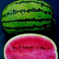 Asian and tropical vegetable seeds