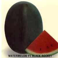 Asian and tropical vegetable seeds