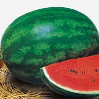 Asian and tropical vegetable seeds