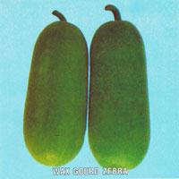 Asian and tropical vegetable seeds