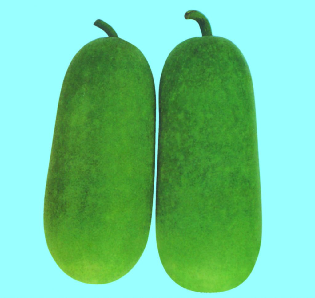 Asian and tropical vegetable seeds