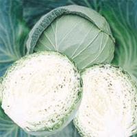 Asian and tropical vegetable seeds