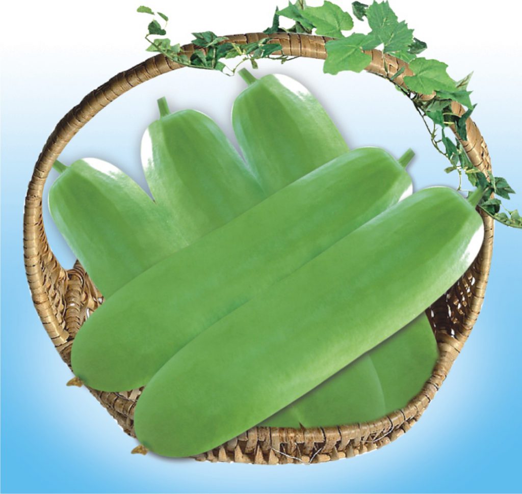 Asian and tropical vegetable seeds