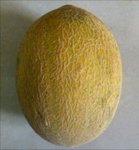 Asian and tropical vegetable seeds