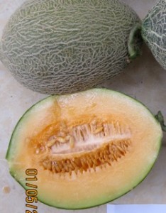 Asian and tropical vegetable seeds