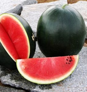 WATERMELON F1 BLACK BABY – Asian and tropical vegetable seeds