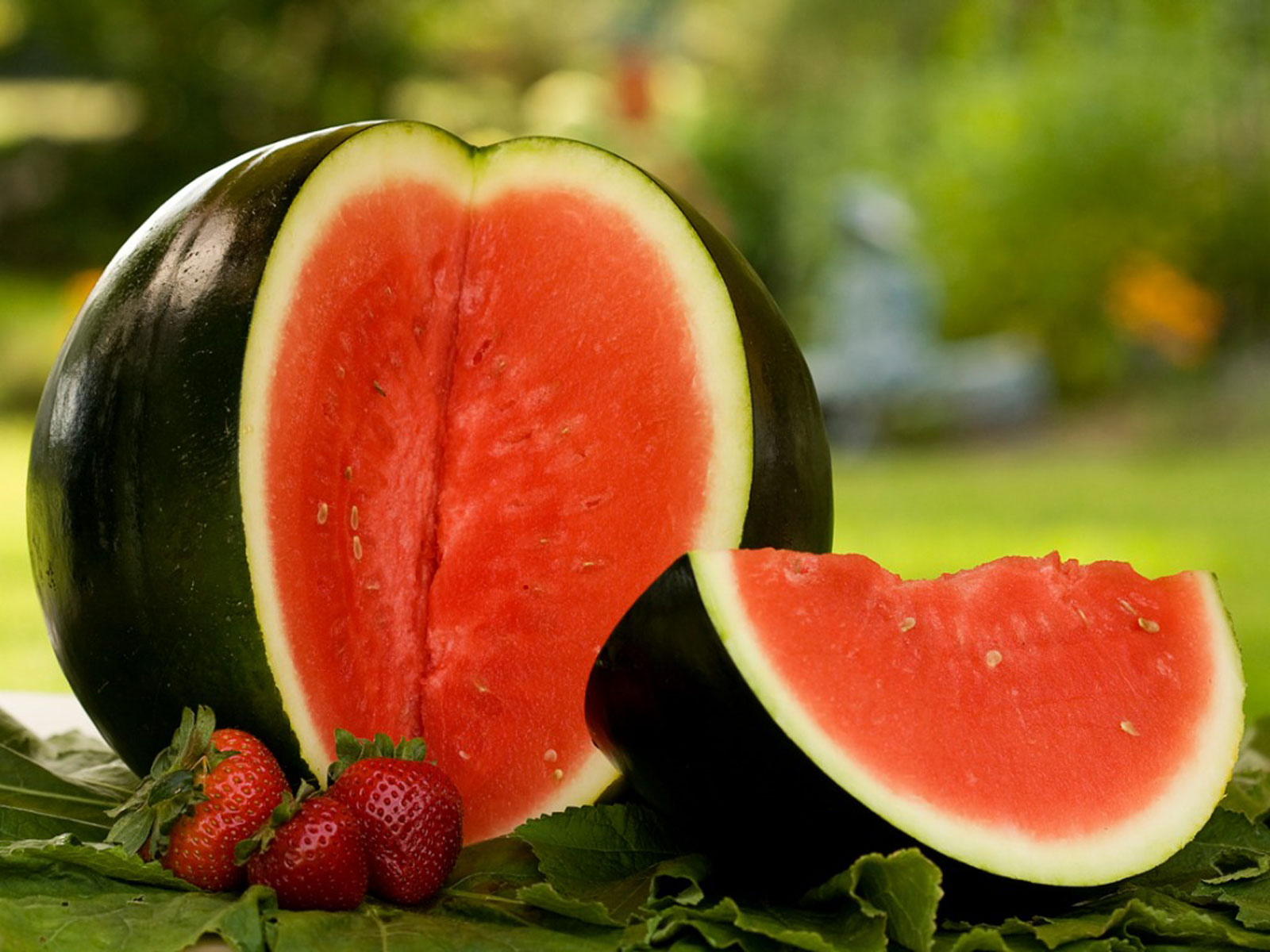 WATERMELON SUGAR SWEET Green Seeds