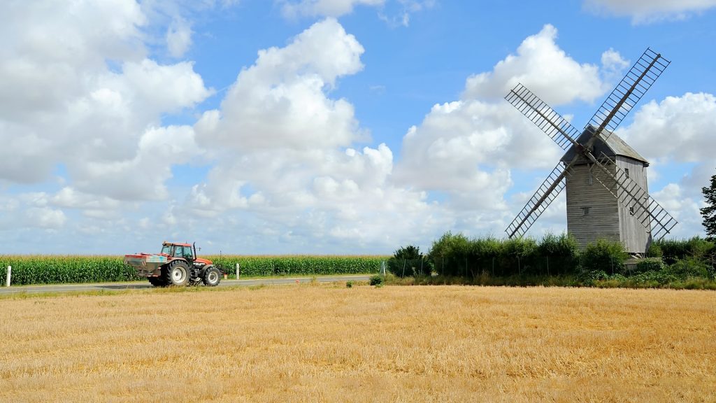 Asian and tropical vegetable seeds