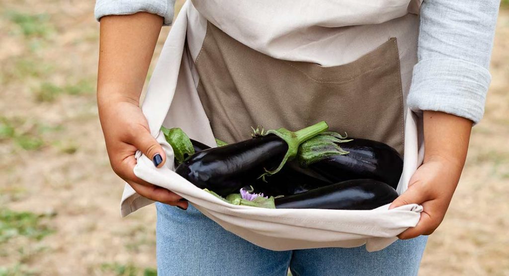 Asian and tropical vegetable seeds