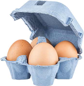 Asian and tropical vegetable seeds