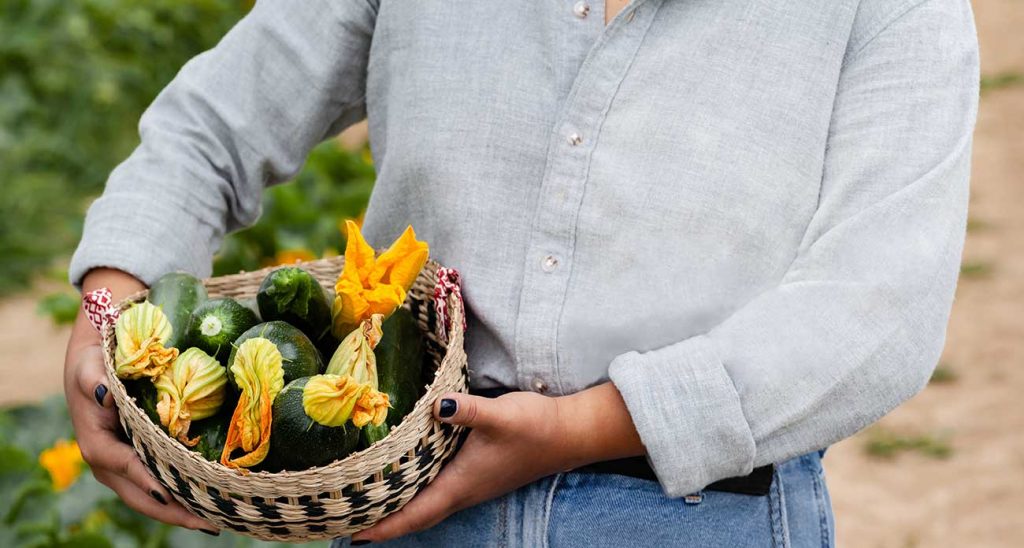 Asian and tropical vegetable seeds