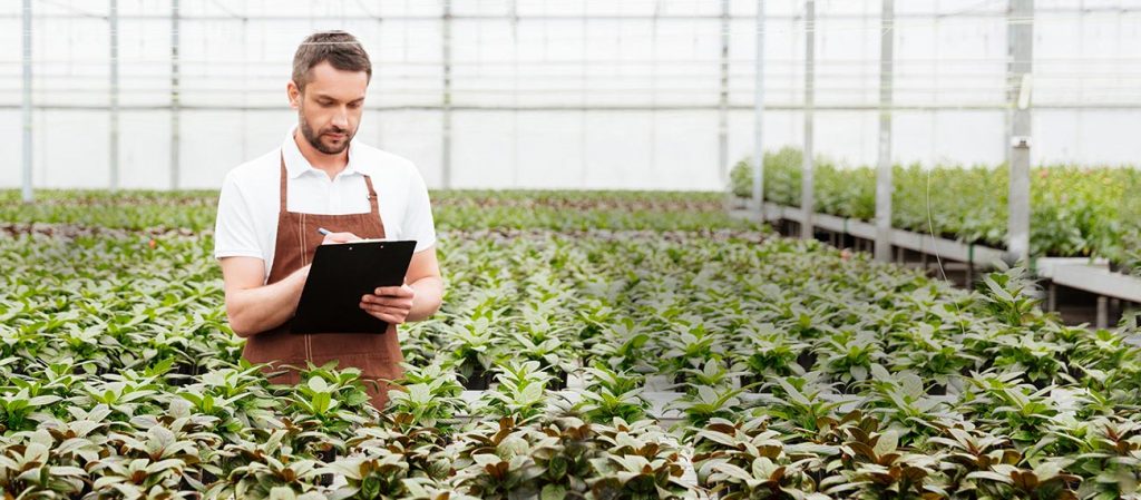 Asian and tropical vegetable seeds