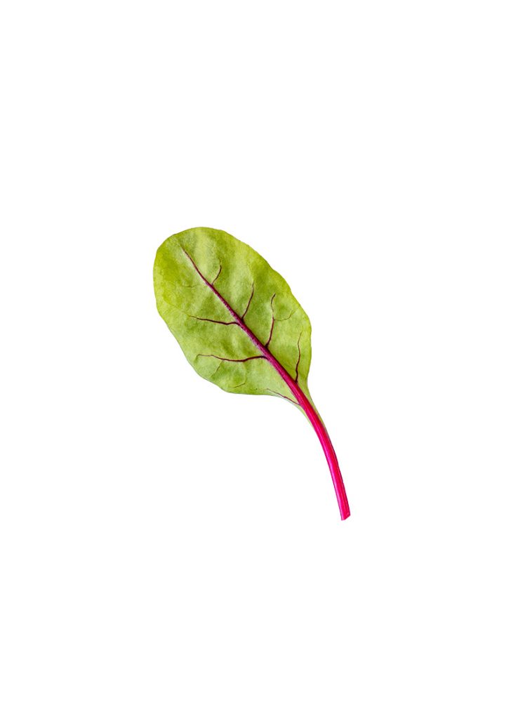 Asian and tropical vegetable seeds