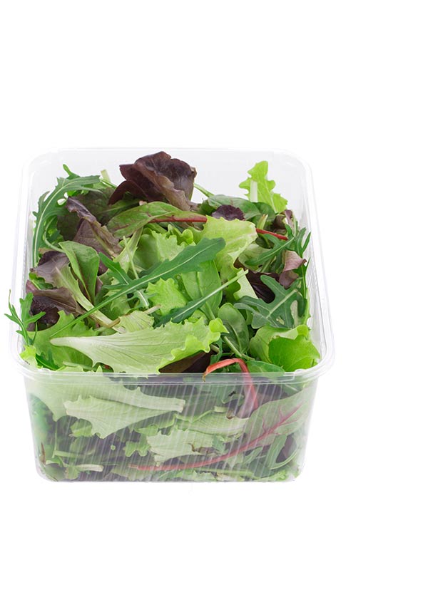 Asian and tropical vegetable seeds