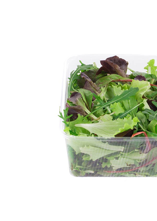 Asian and tropical vegetable seeds