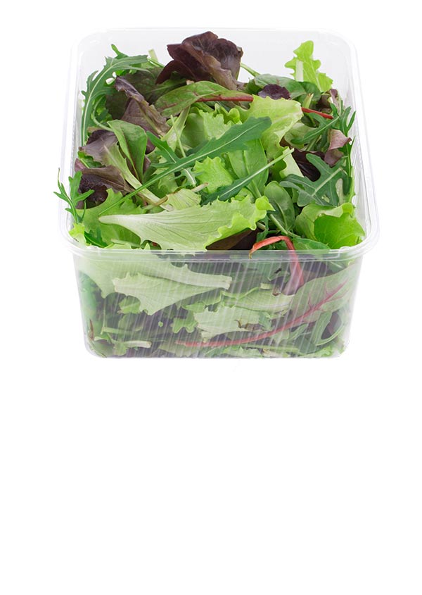 Asian and tropical vegetable seeds