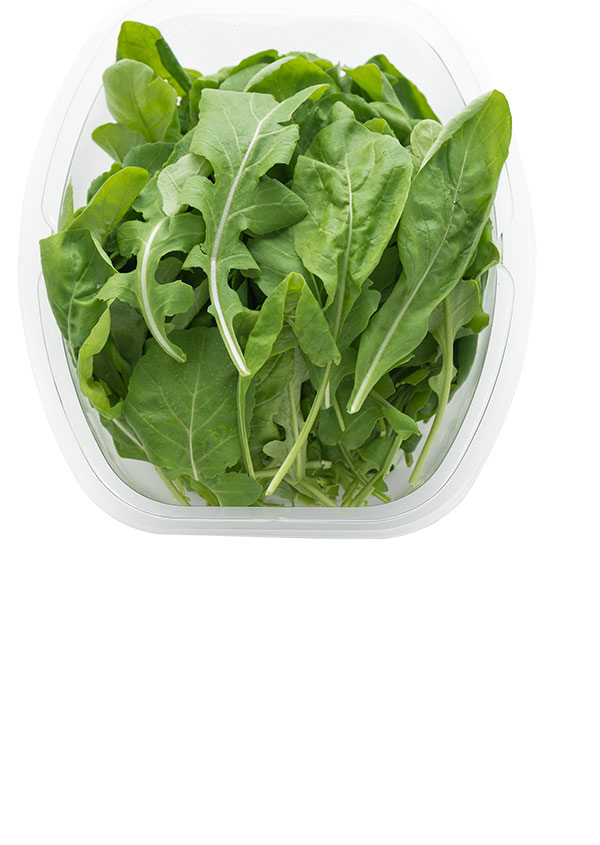 Asian and tropical vegetable seeds