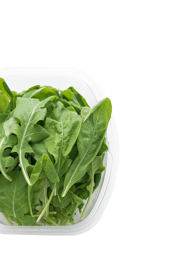 Asian and tropical vegetable seeds