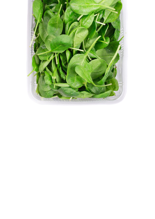 Asian and tropical vegetable seeds