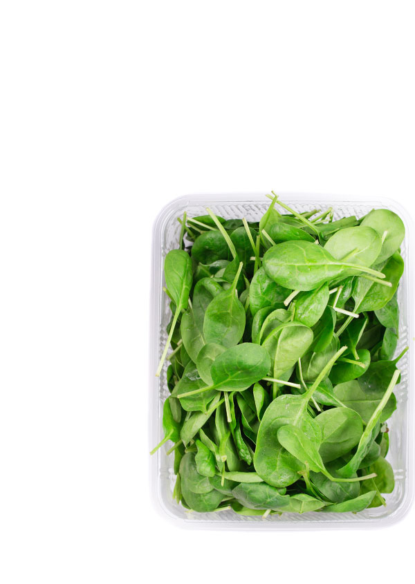 Asian and tropical vegetable seeds