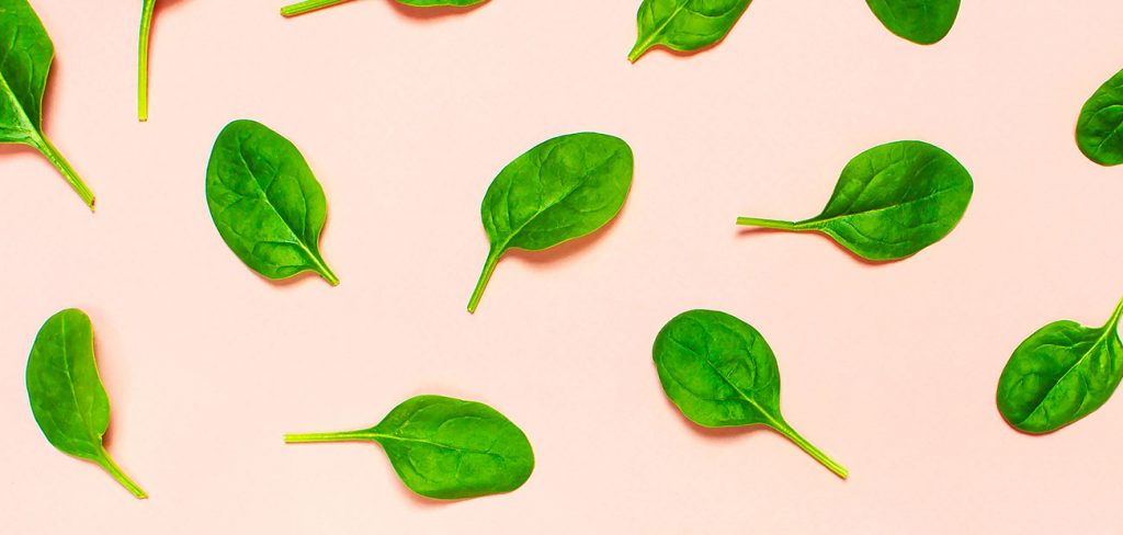 Asian and tropical vegetable seeds