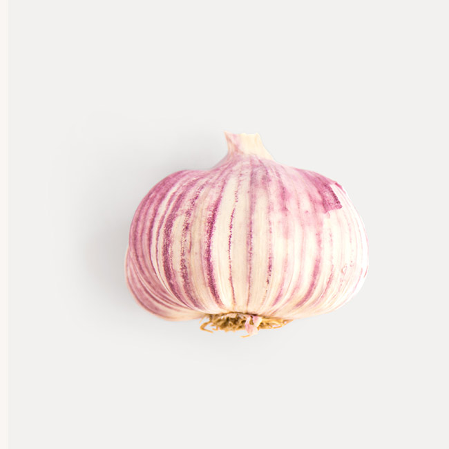 Asian and tropical vegetable seeds