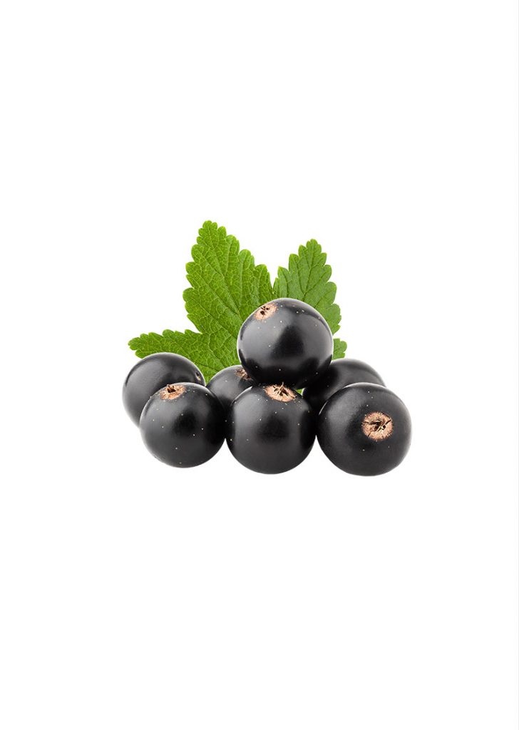 Asian and tropical vegetable seeds