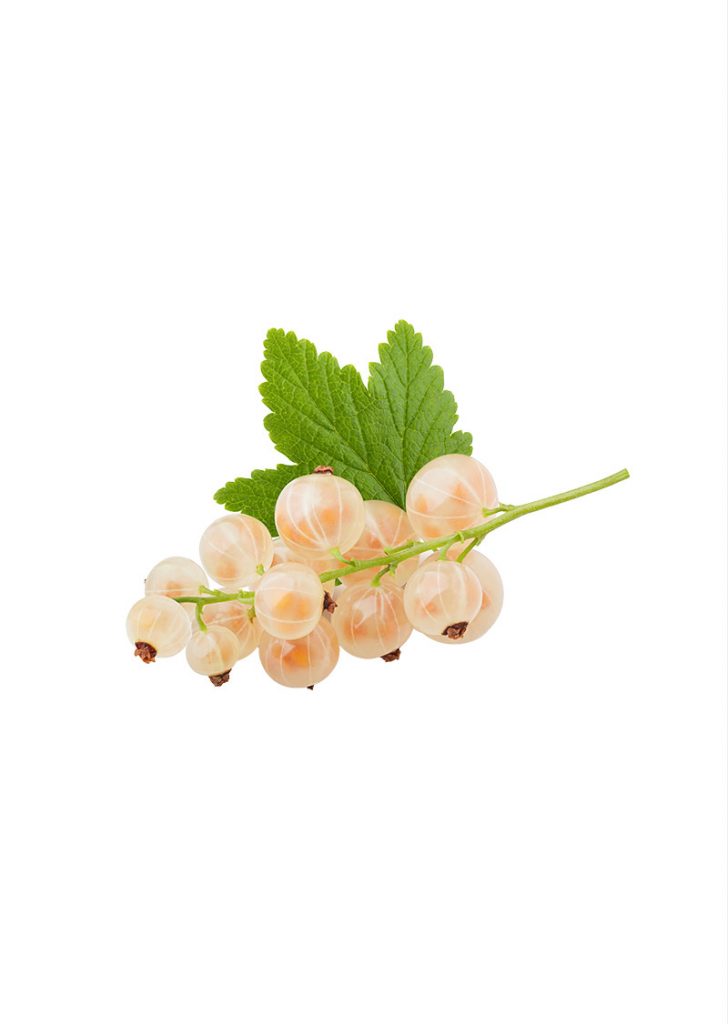 Asian and tropical vegetable seeds