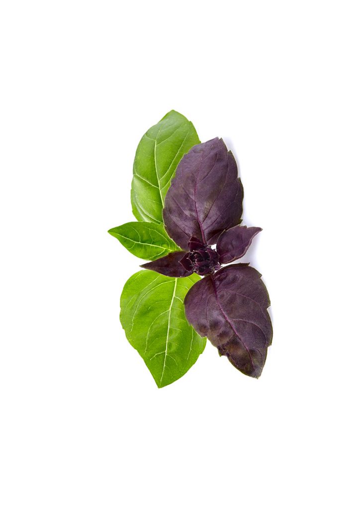Asian and tropical vegetable seeds