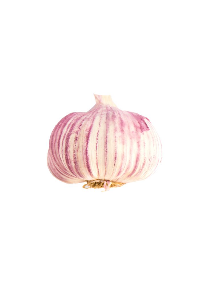 Asian and tropical vegetable seeds
