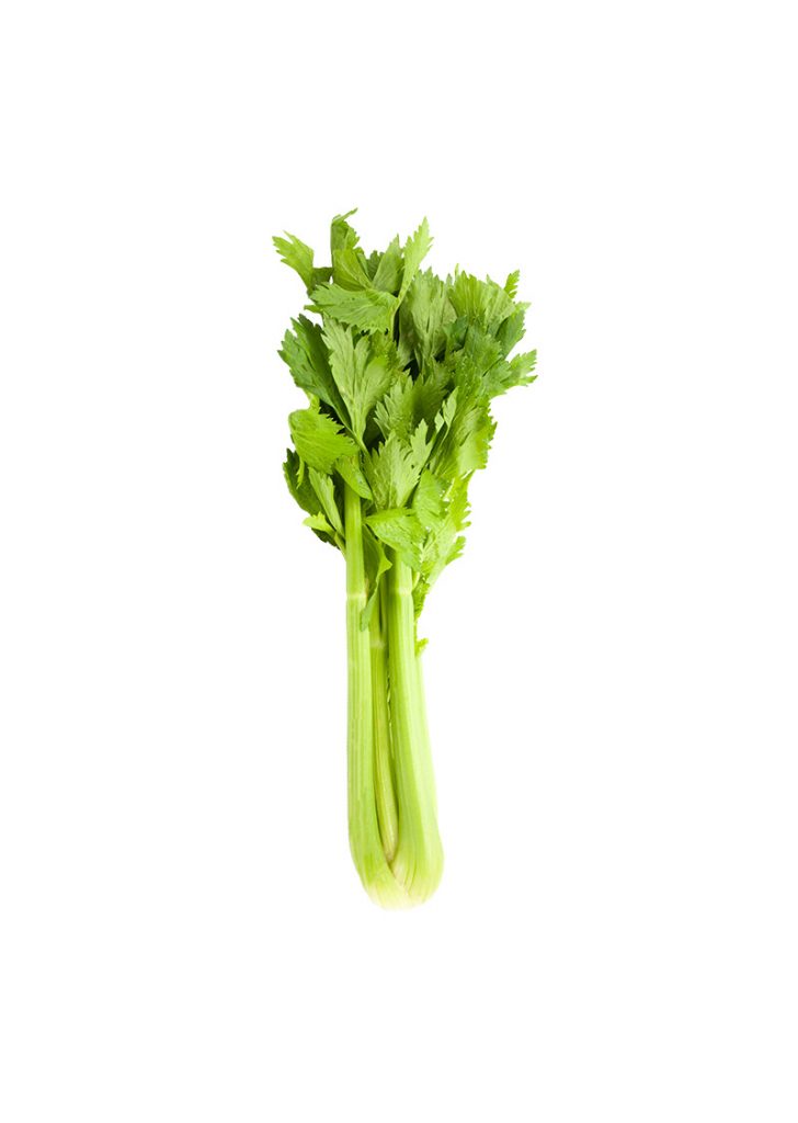 Asian and tropical vegetable seeds