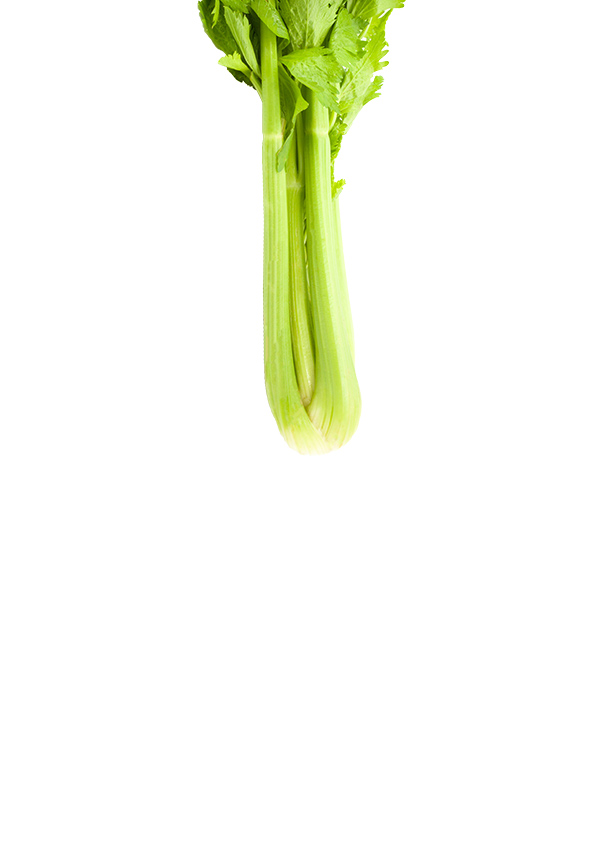 Asian and tropical vegetable seeds