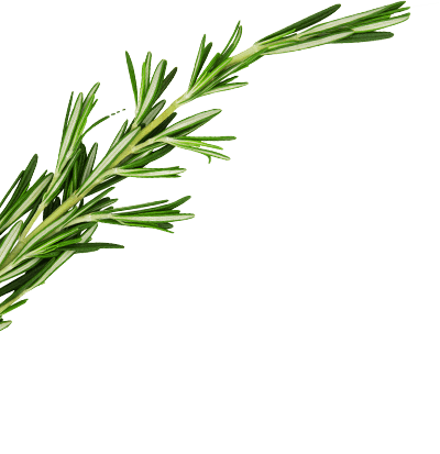 Asian and tropical vegetable seeds