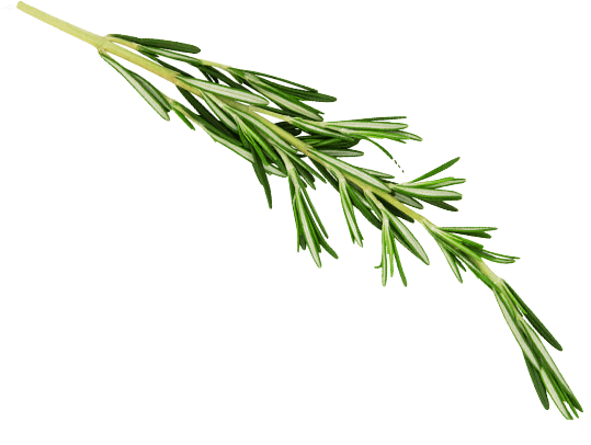 Asian and tropical vegetable seeds