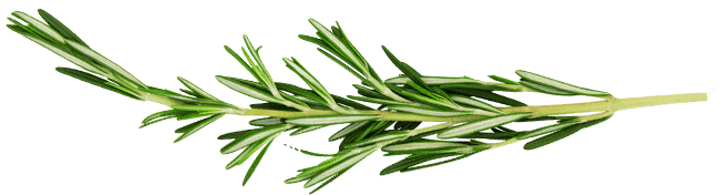 Asian and tropical vegetable seeds