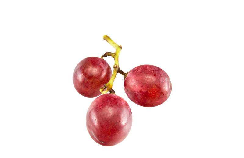 Asian and tropical vegetable seeds