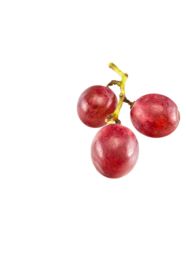 Asian and tropical vegetable seeds