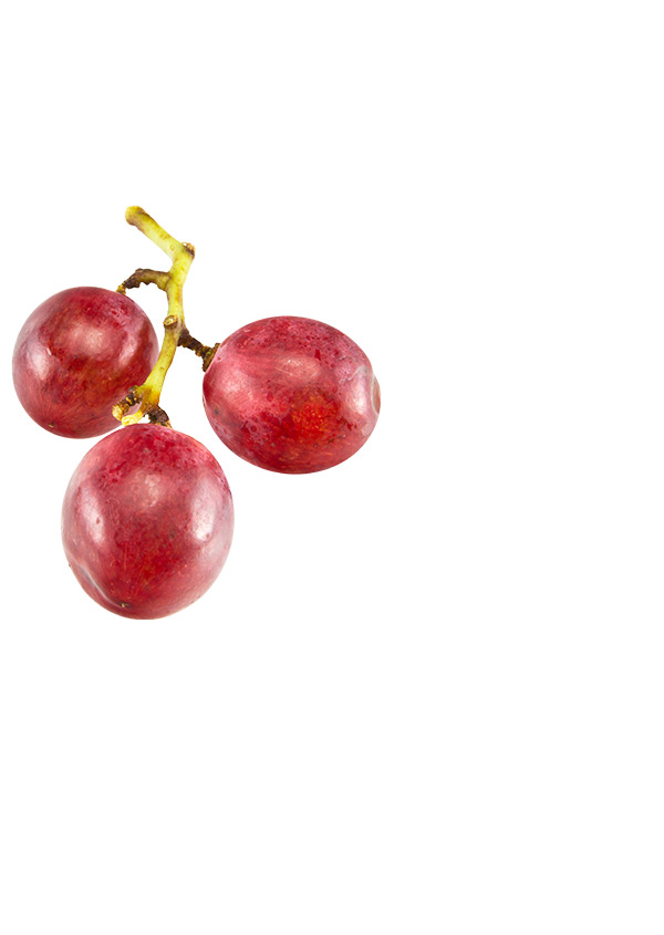 Asian and tropical vegetable seeds