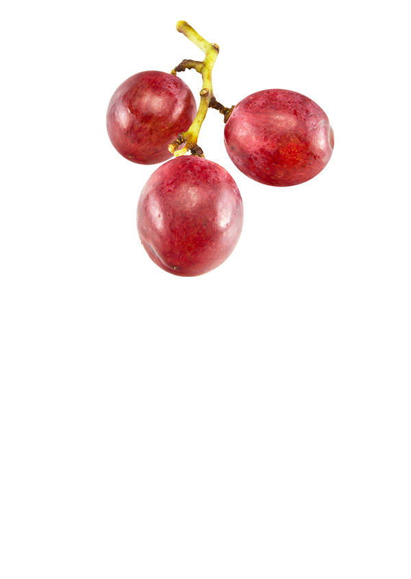 Asian and tropical vegetable seeds