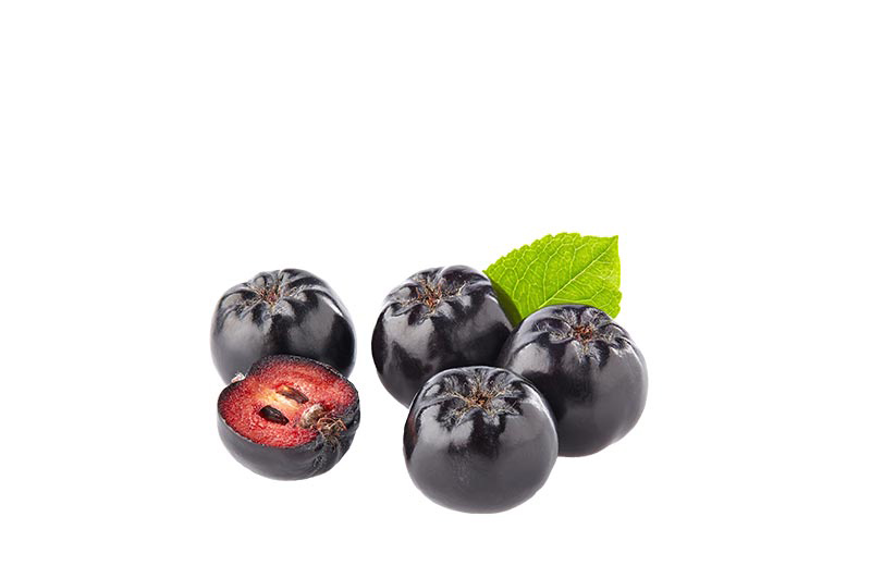 Asian and tropical vegetable seeds