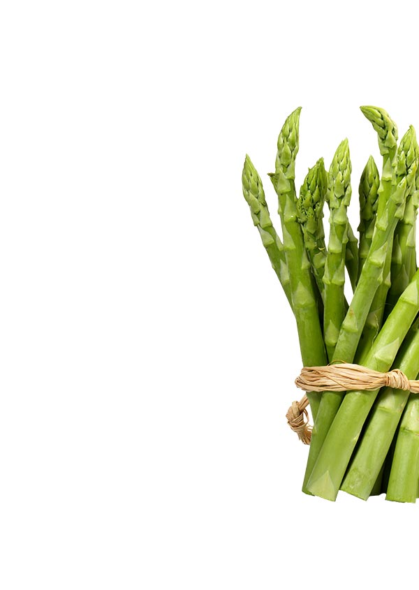 Asian and tropical vegetable seeds