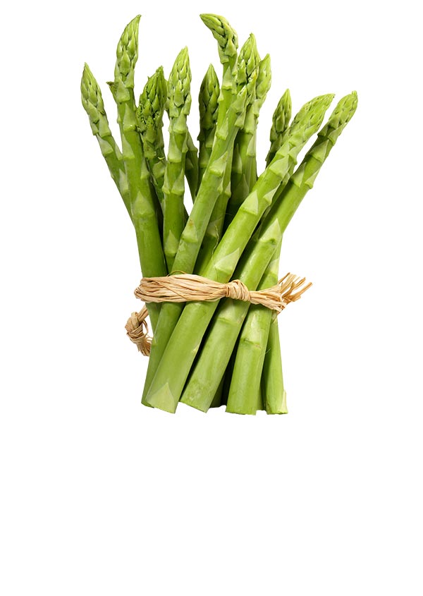 Asian and tropical vegetable seeds