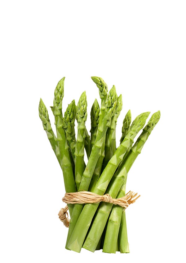 Asian and tropical vegetable seeds